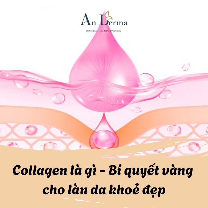 Collagen là gì – Bí quyết vàng cho làn da khoẻ đẹp